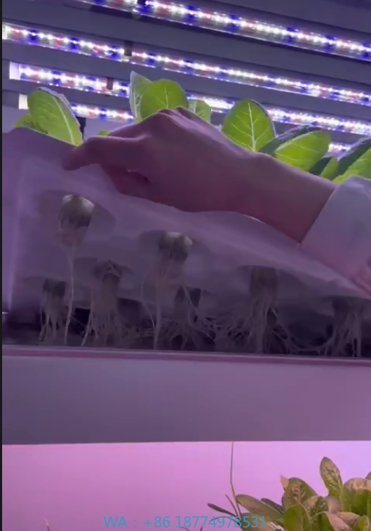 f Greenhouse Agricultural Equi - Agriculture Farming Systems 评论和价格