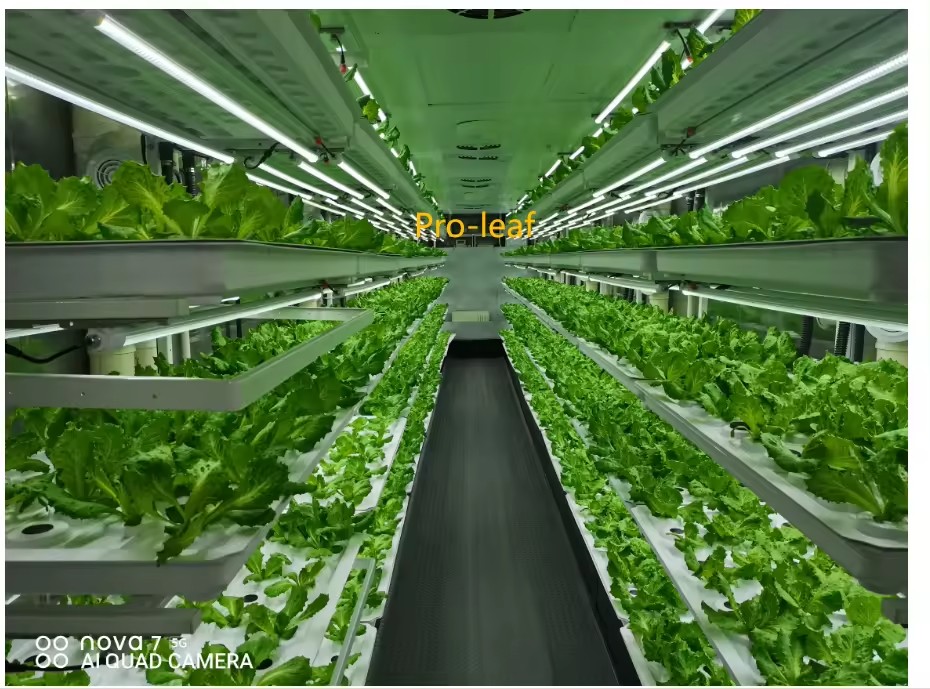 f Greenhouse Agricultural Equi - Agriculture Farming Systems 评论和价格