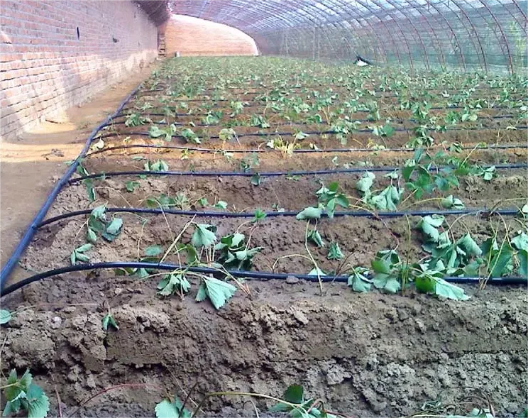 1HA Irrigation Kit Agricultura - Agriculture Farming Systems 评论和价格