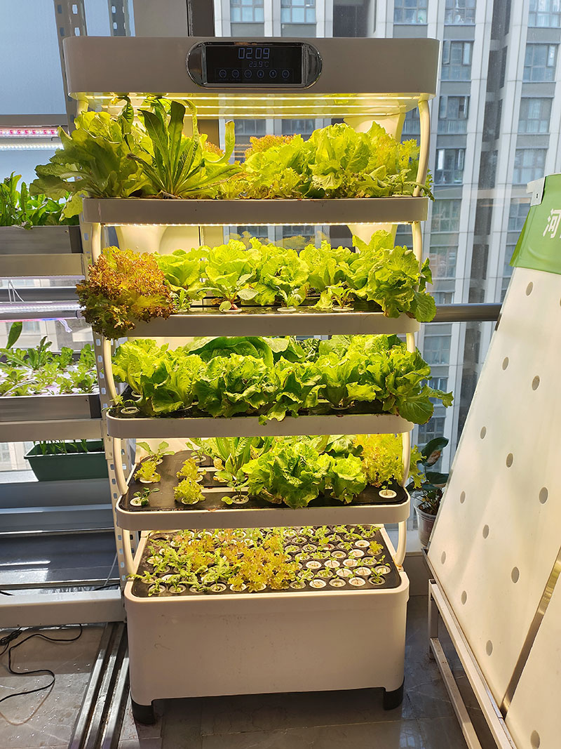 c Agriculture Machine to Growi - Agriculture Farming Systems 评论和价格